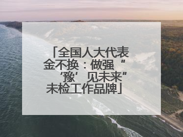 全国人大代表金不换：做强“‘豫’见未来”未检工作品牌
