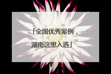 全国优秀案例，湖南这里入选