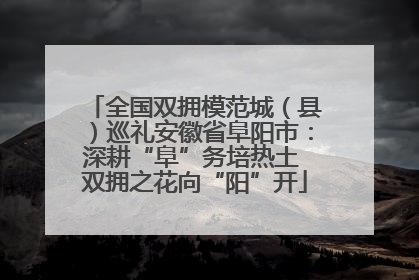 全国双拥模范城（县）巡礼安徽省阜阳市：深耕“阜”务培热土 双拥之花向“阳”开