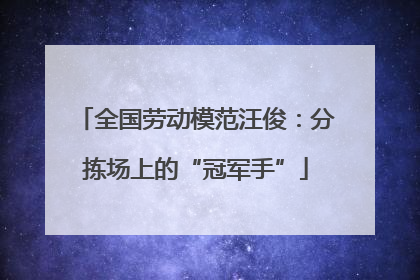 全国劳动模范汪俊：分拣场上的“冠军手”