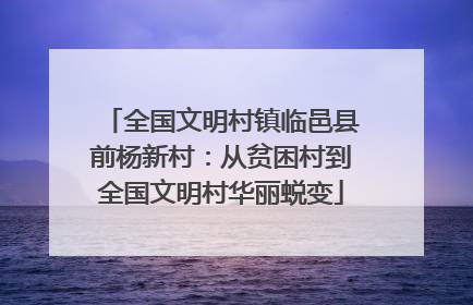 全国文明村镇临邑县前杨新村：从贫困村到全国文明村华丽蜕变