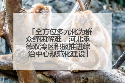 全方位多元化为群众纾困解难，河北承德双滦区积极推进综治中心规范化建设