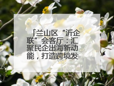兰山区“沂企联”会客厅：汇聚民企出海新动能，打造跨境发展“强磁场”