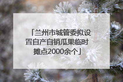 兰州市城管委拟设置自产自销瓜果临时摊点2000余个