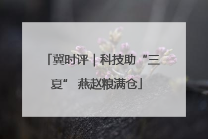 冀时评｜科技助“三夏” 燕赵粮满仓