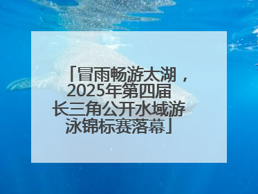 冒雨畅游太湖，2025年第四届长三角公开水域游泳锦标赛落幕