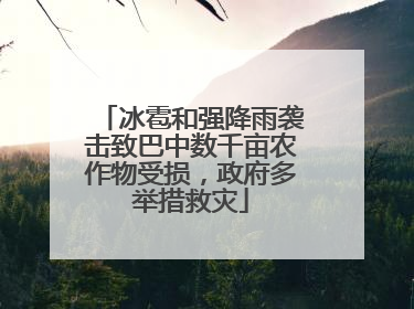 冰雹和强降雨袭击致巴中数千亩农作物受损，政府多举措救灾