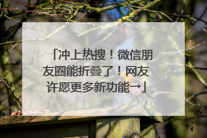 冲上热搜！微信朋友圈能折叠了！网友许愿更多新功能→