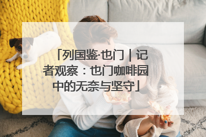 列国鉴·也门｜记者观察：也门咖啡园中的无奈与坚守