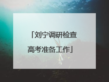 刘宁调研检查高考准备工作