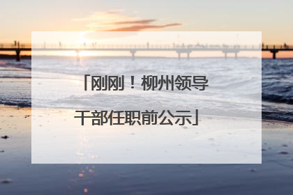 刚刚！柳州领导干部任职前公示