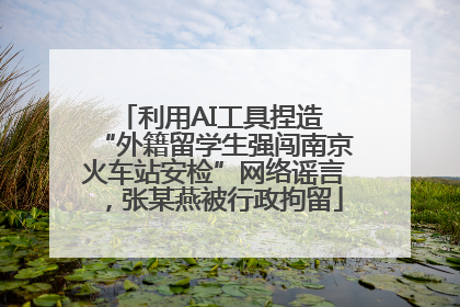 利用AI工具捏造 “外籍留学生强闯南京火车站安检”网络谣言，张某燕被行政拘留