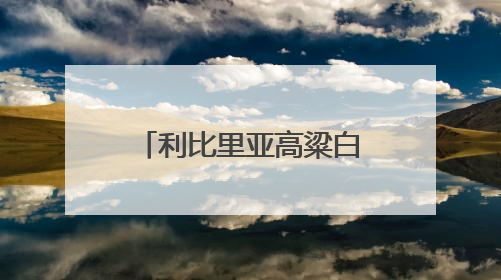 利比里亚高粱白酒全产业链项目落地自贸雨花区块