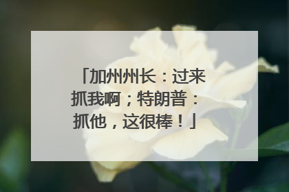 加州州长：过来抓我啊；特朗普：抓他，这很棒！