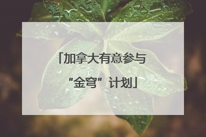 加拿大有意参与“金穹”计划