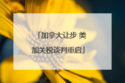 加拿大让步 美加关税谈判重启