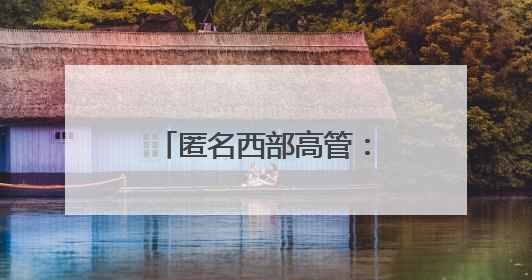 匿名西部高管：湖人对布朗尼有明确的培养计划