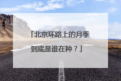 北京环路上的月季到底是谁在种？