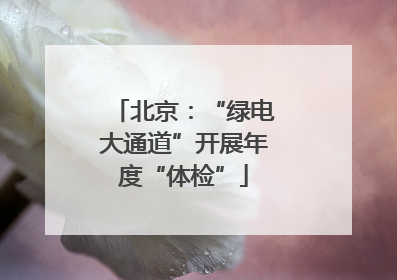 北京：“绿电大通道”开展年度“体检”