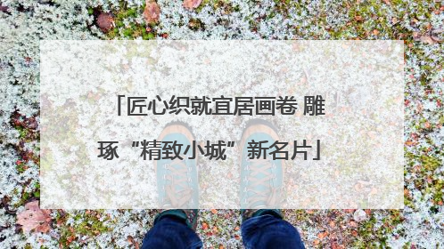 匠心织就宜居画卷 雕琢“精致小城”新名片