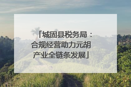 城固县税务局：合规经营助力元胡产业全链条发展