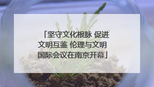 坚守文化根脉 促进文明互鉴 伦理与文明国际会议在南京开幕