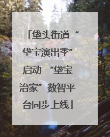 垡头街道“垡宝演出季”启动 “垡宝治家”数智平台同步上线