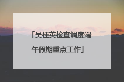 吴桂英检查调度端午假期重点工作