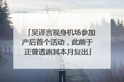 吴谨言现身机场参加产后首个活动，此前于正曾透露其本月复出