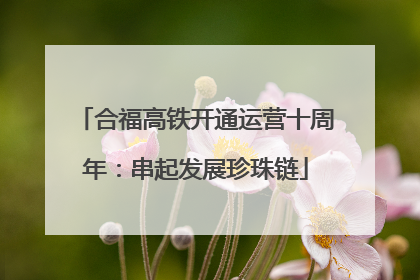 合福高铁开通运营十周年：串起发展珍珠链
