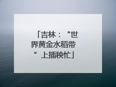 吉林：“世界黄金水稻带”上插秧忙