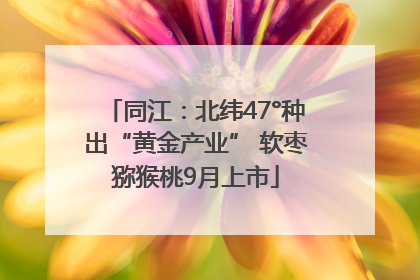同江：北纬47°种出“黄金产业” 软枣猕猴桃9月上市