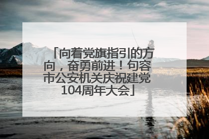 向着党旗指引的方向，奋勇前进！句容市公安机关庆祝建党104周年大会