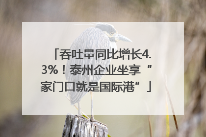 吞吐量同比增长4.3%！泰州企业坐享“家门口就是国际港”