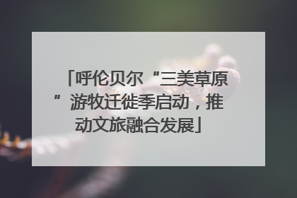 呼伦贝尔“三美草原”游牧迁徙季启动，推动文旅融合发展