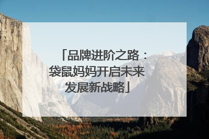 品牌进阶之路：袋鼠妈妈开启未来发展新战略