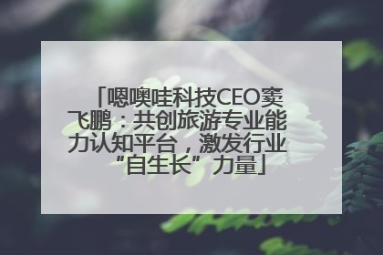 嗯噢哇科技CEO窦飞鹏：共创旅游专业能力认知平台，激发行业“自生长”力量