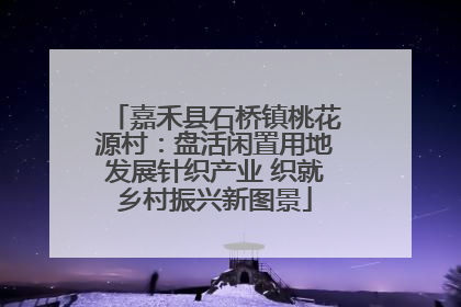 嘉禾县石桥镇桃花源村：盘活闲置用地发展针织产业 织就乡村振兴新图景