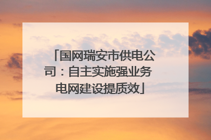国网瑞安市供电公司：自主实施强业务 电网建设提质效