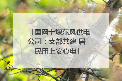 国网十堰东风供电公司：支部共建 居民用上安心电