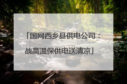 国网西乡县供电公司：战高温保供电送清凉