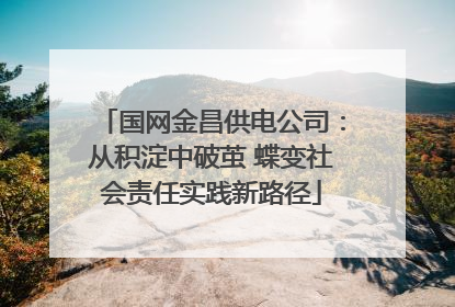 国网金昌供电公司：从积淀中破茧 蝶变社会责任实践新路径