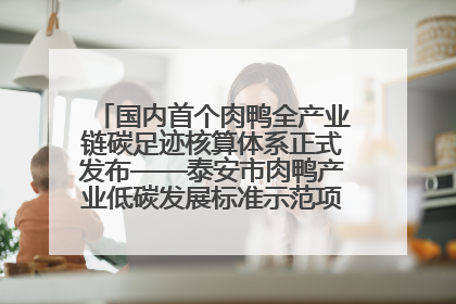 国内首个肉鸭全产业链碳足迹核算体系正式发布——泰安市肉鸭产业低碳发展标准示范项目顺利通过验收
