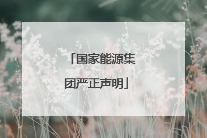 国家能源集团严正声明