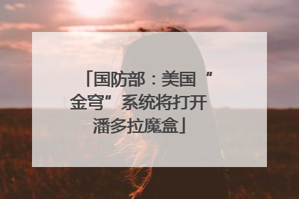 国防部：美国“金穹”系统将打开潘多拉魔盒