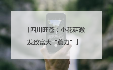四川旺苍：小花菇激发致富大“蘑力”