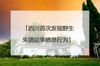 四川首次发现野生朱鹮夏季栖息行为