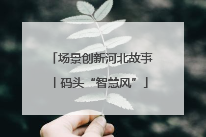 场景创新河北故事丨码头“智慧风”