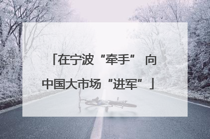 在宁波“牵手” 向中国大市场“进军”