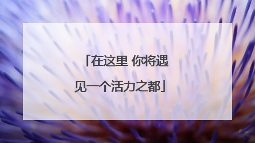 在这里 你将遇见一个活力之都
